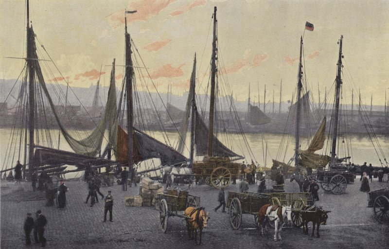 Boulogne-sur-Mer，捕捞鲱鱼的准备工作 作者 法国摄影师