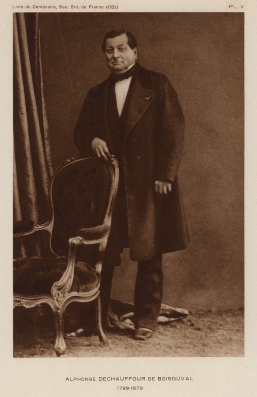 Jean Baptiste Boisduval, French lepidopterist and botanist (b/w photo) 作者 法国摄影师