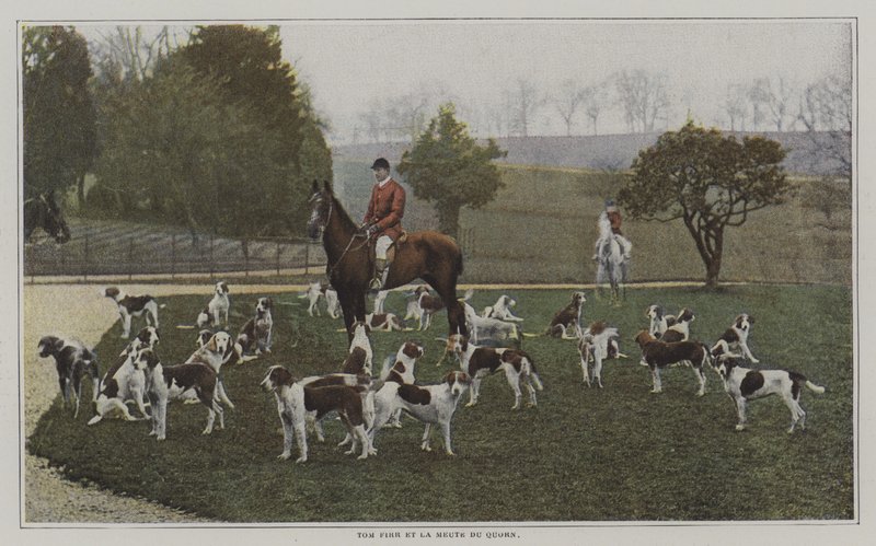 Tom Firr and the hounds of the Quorn Hunt, Leicestershire (colour photo) 作者 法国摄影师