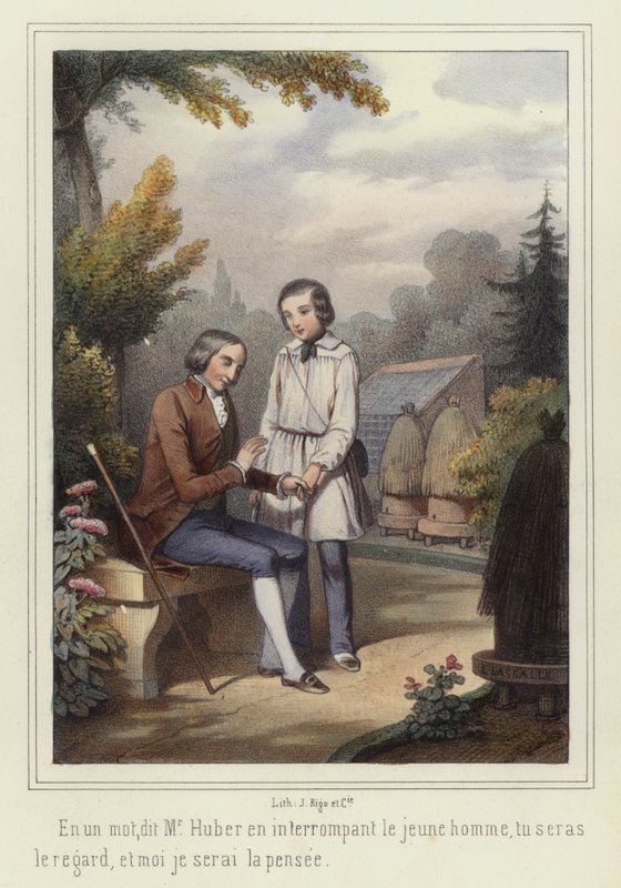 男孩帮助盲人（彩色石版印刷） 作者 法语学校