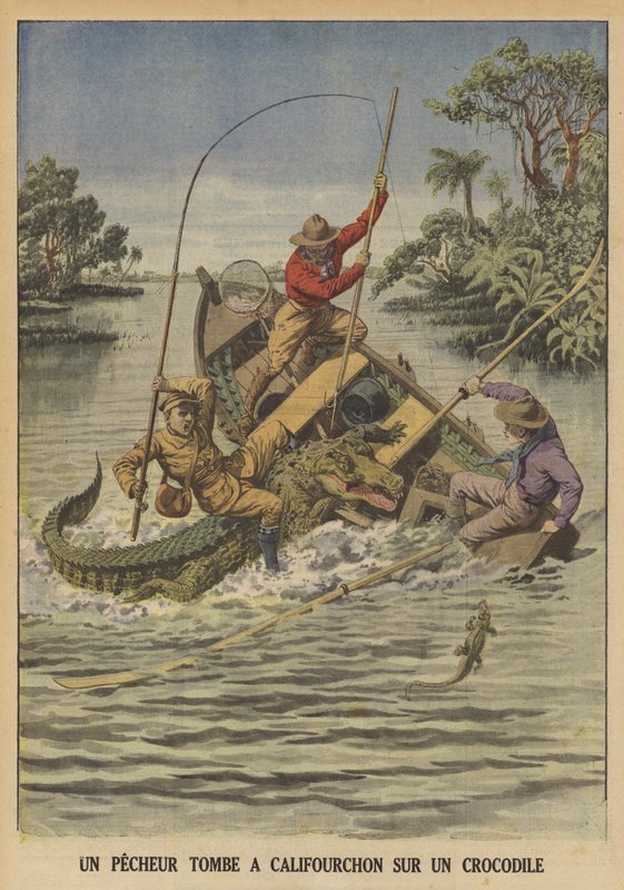 一名渔夫在鳄鱼倾覆他的船后骑在他身上（彩色石版画） 作者 法语学校