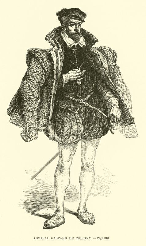 海军上将Gaspard de Coligny 作者 法语学校