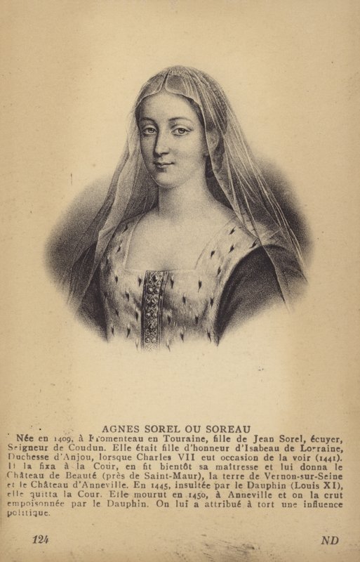 Agnes Sorel 作者 法语学校