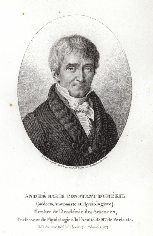 AndréMarieConstantDuméril 作者 法语学校