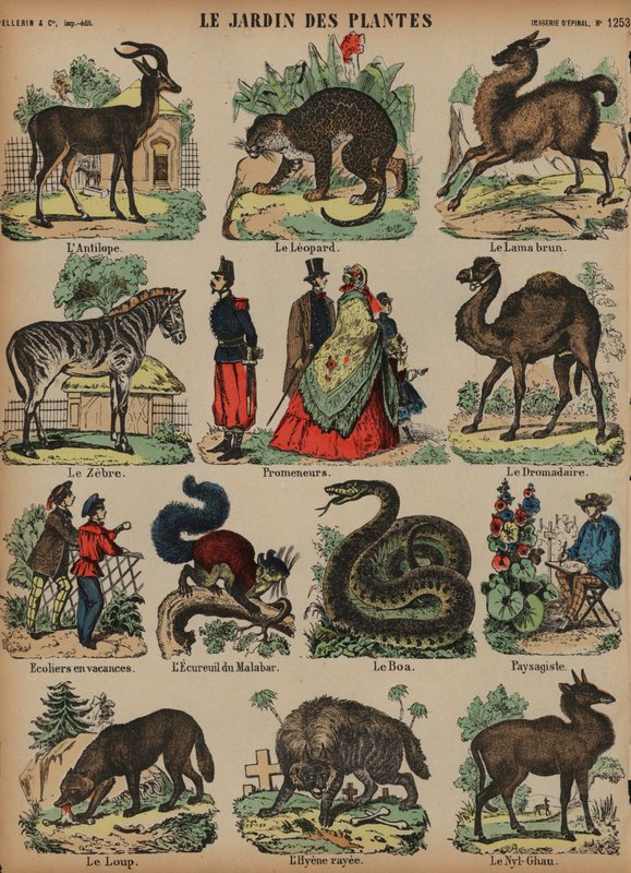 Animals of the Jardin des Plantes, Paris, France (coloured engraving) 作者 法语学校