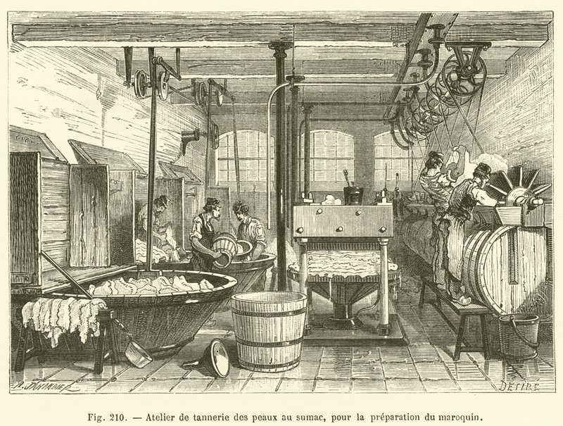 Atelier de tannerie des peaux au sumac, pour la preparation du maroquin (engraving) 作者 法语学校