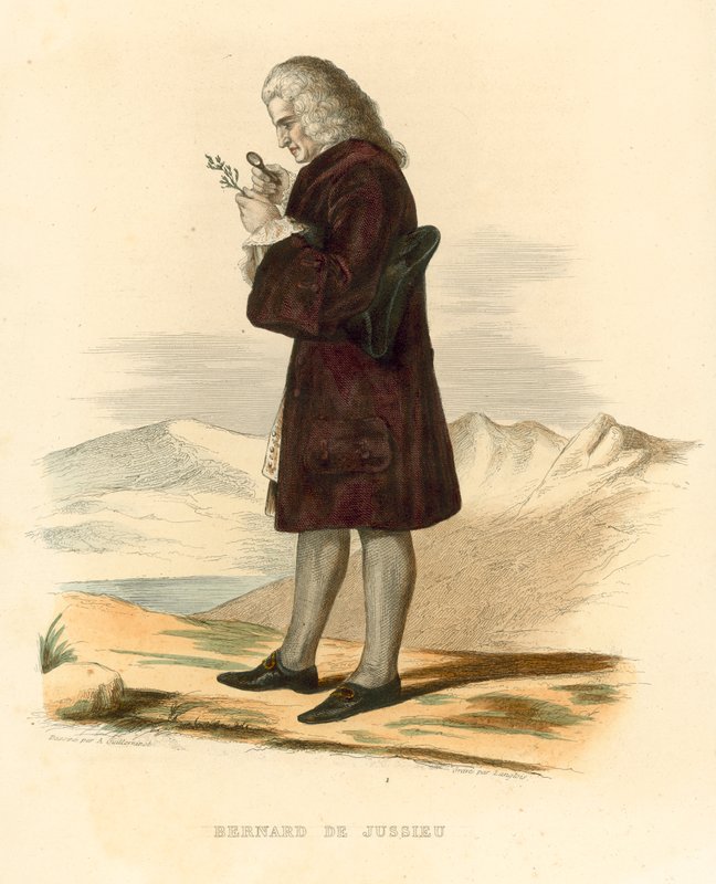 Bernard de Jussieu（彩色雕刻） 作者 法语学校