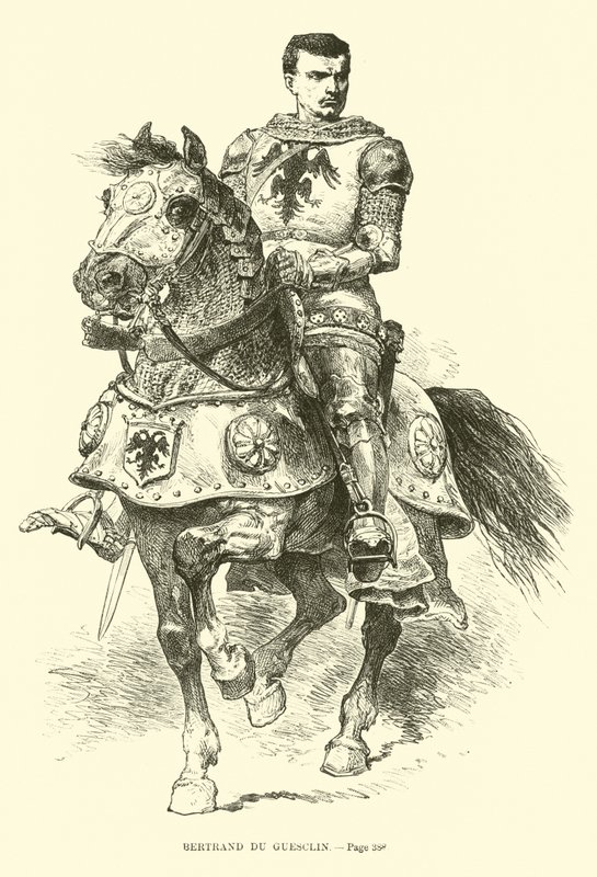Bertrand du Guesclin 作者 法语学校