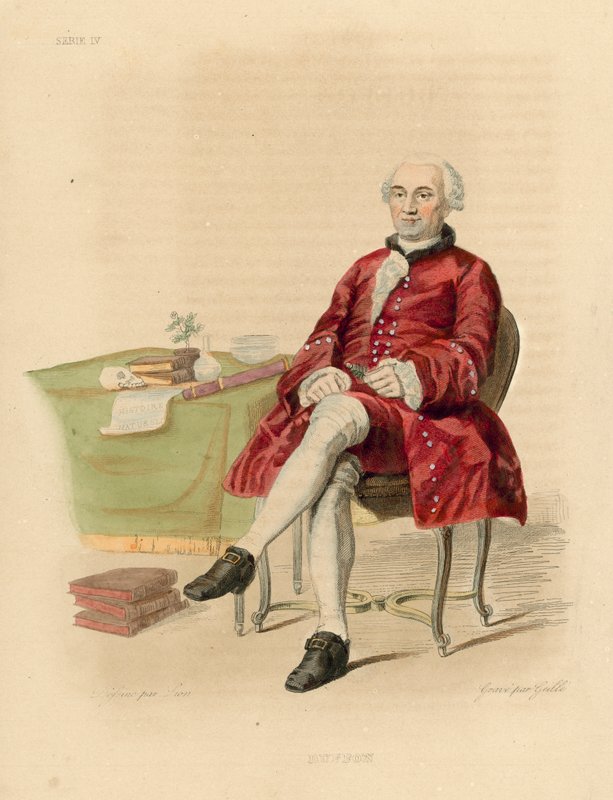 Buffon (coloured engraving) 作者 法语学校