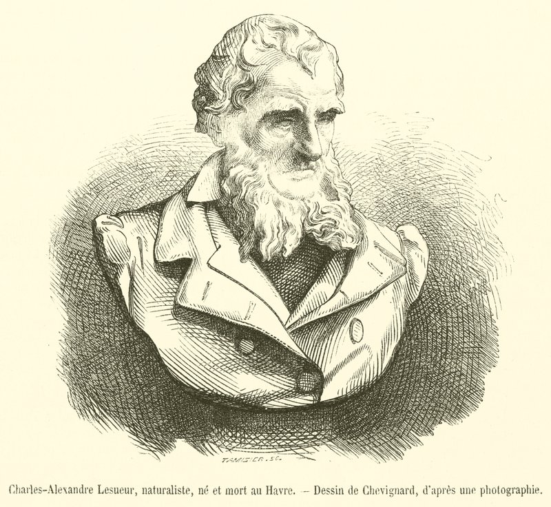 Charles-Alexandre Lesueur，博物学家，生于和死于勒阿弗尔（版画） 作者 法语学校