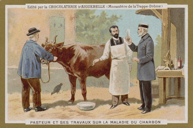 Chocolat dAiguebelle贸易卡 作者 法语学校