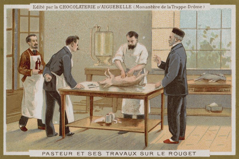 Chocolat dAiguebelle贸易卡 作者 法语学校