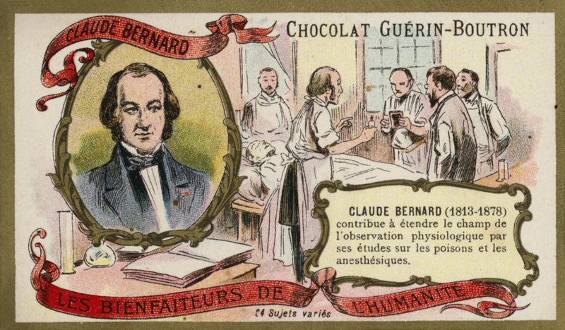 Claude Bernard，法国生理学家（chromolitho） 作者 法语学校