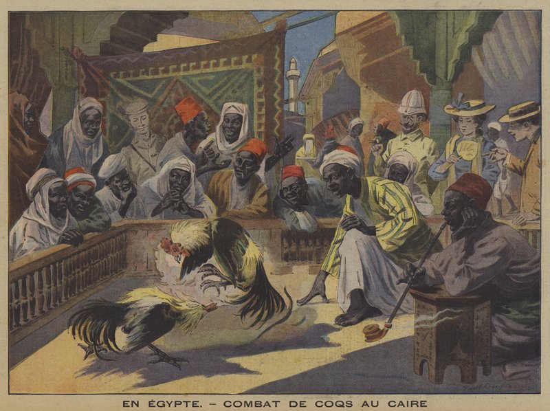 Cock fighting in Cairo (colour litho) 作者 法语学校