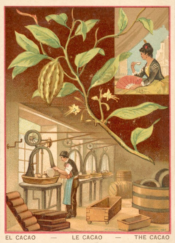 Cocoa (chromolitho) 作者 法语学校
