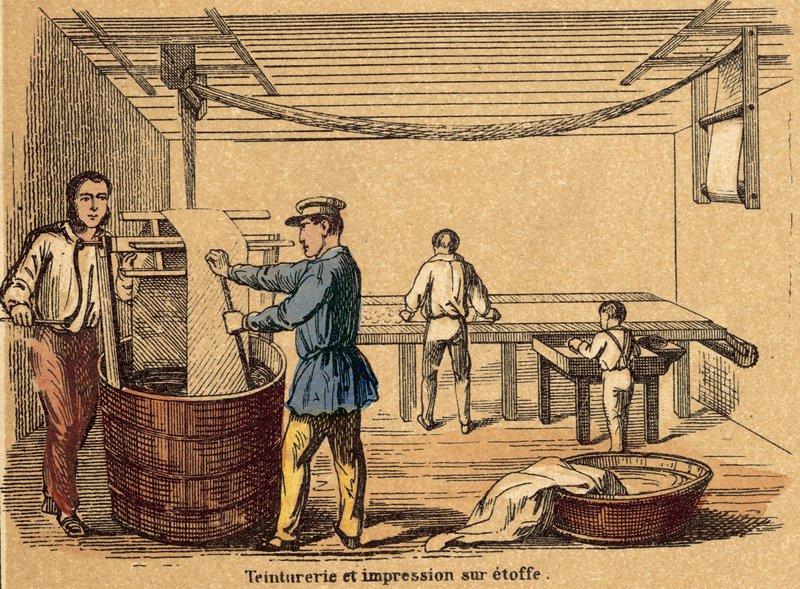 Cotton (coloured engraving) 作者 法语学校