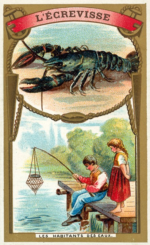 Crayfish (chromolitho) 作者 法语学校
