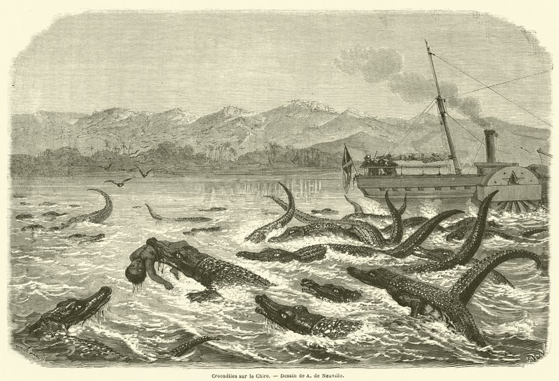 Crocodiles sur le Chire (engraving) 作者 法语学校