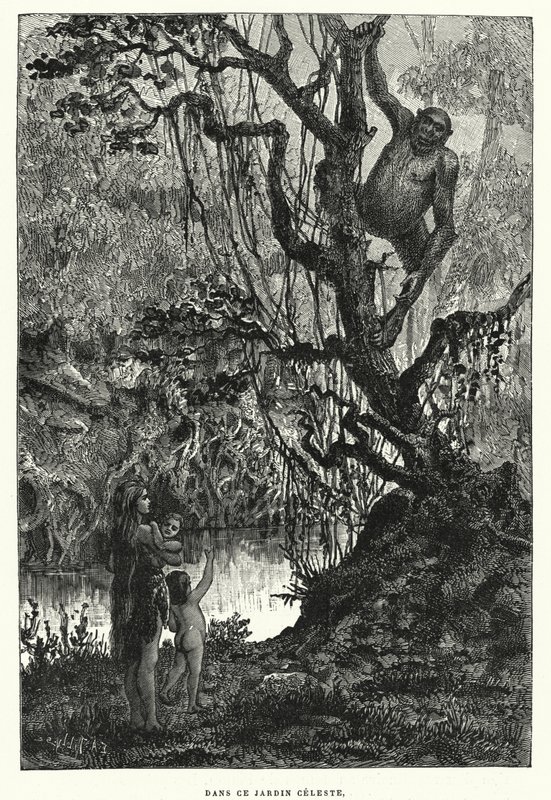 在这天庭（版画） 作者 法语学校