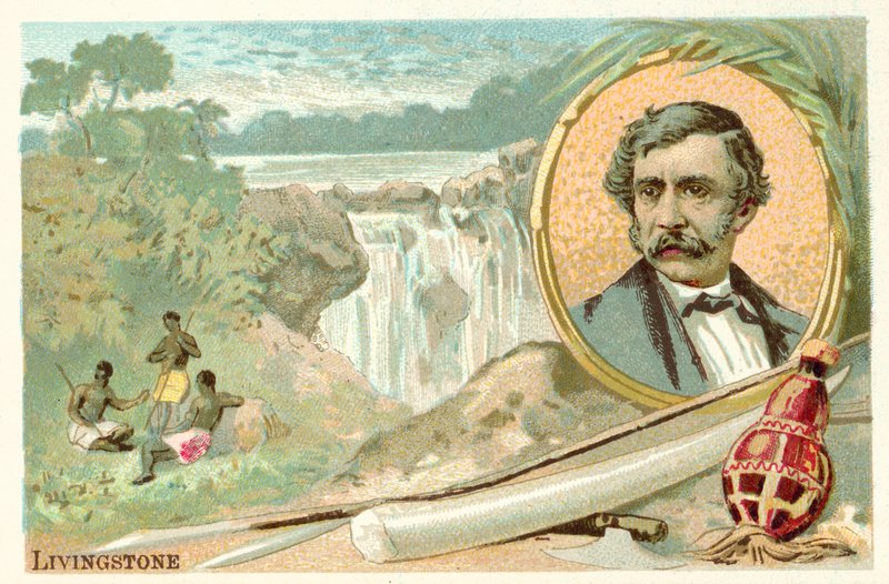 David Livingstone, Scottish missionary and explorer (chromolitho) 作者 法语学校