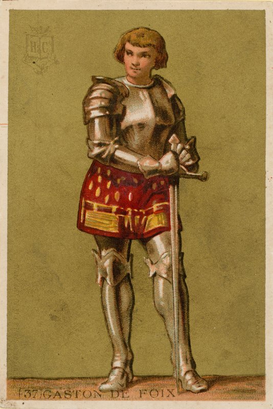 Gaston de Foix 作者 法语学校