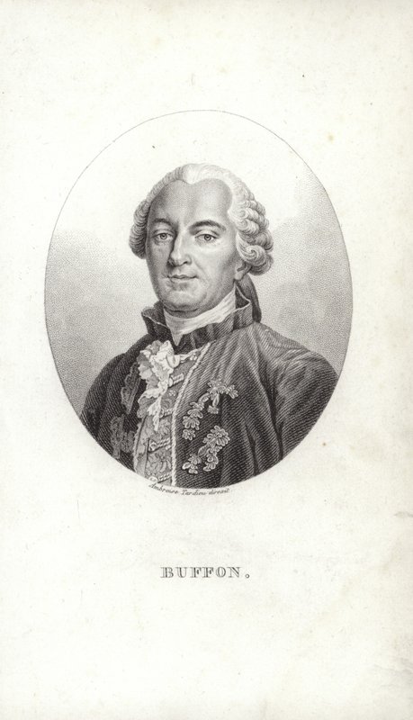Georges-Louis Leclerc 作者 法语学校