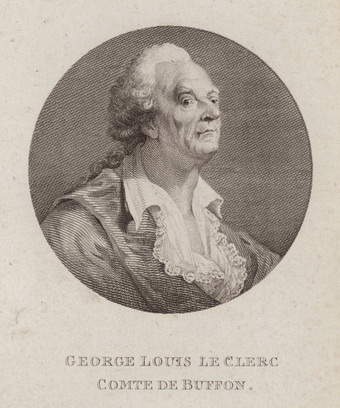 Georges-Louis Leclerc，布冯伯爵，法国博物学家（雕刻） 作者 法语学校