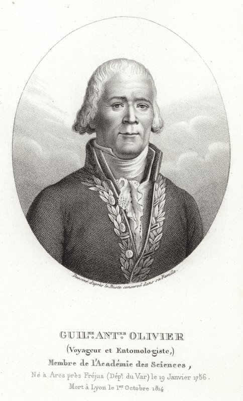 Guillaume Antoine Olivier 作者 法语学校
