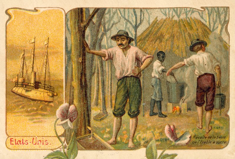Harvesting maple sap to make maple syrup, United States (chromolitho) 作者 法语学校