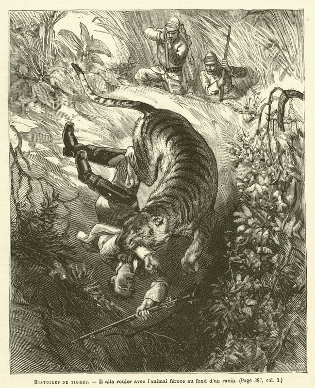 Histoires De Tigres（雕刻）。 作者 法语学校