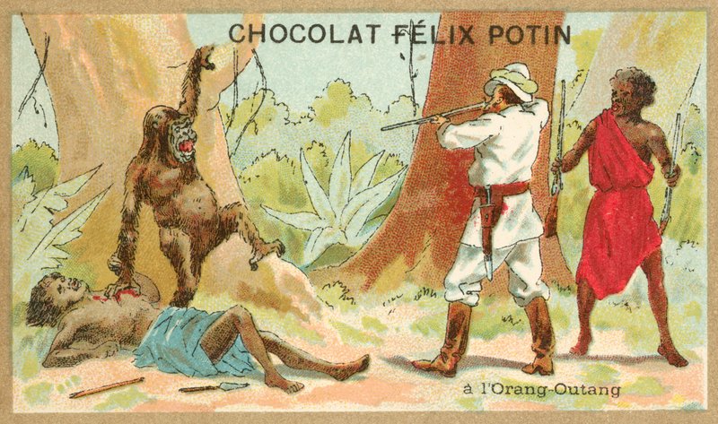 Hunting orangutan (chromolitho) 作者 法语学校