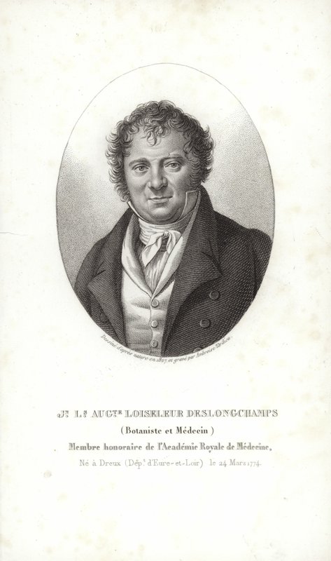 Jean Louis August Loiseleur-Deslongchamps 作者 法语学校