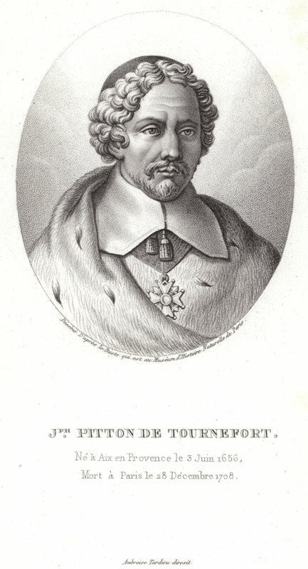 Tournefort的Joseph Pitton 作者 法语学校