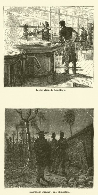 La Canne A Sucre（雕刻）。 作者 法语学校