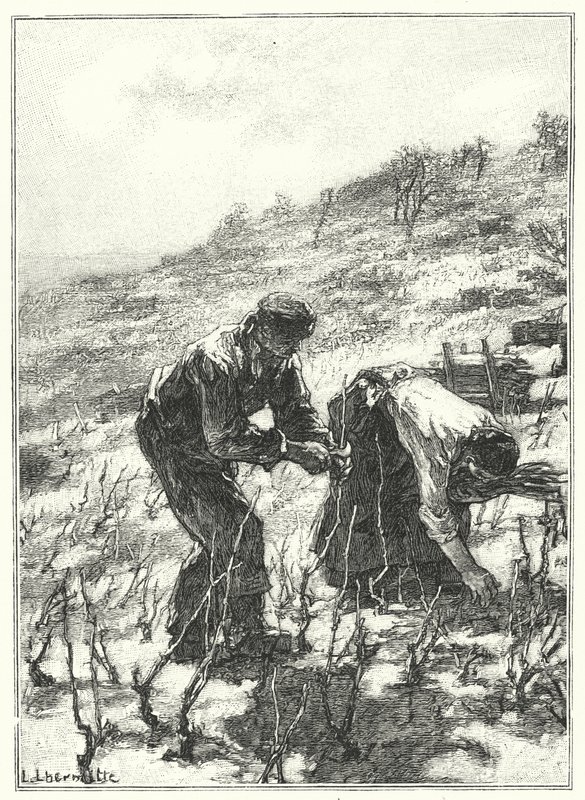 La Taille Des Vignes（雕版画 作者 法语学校