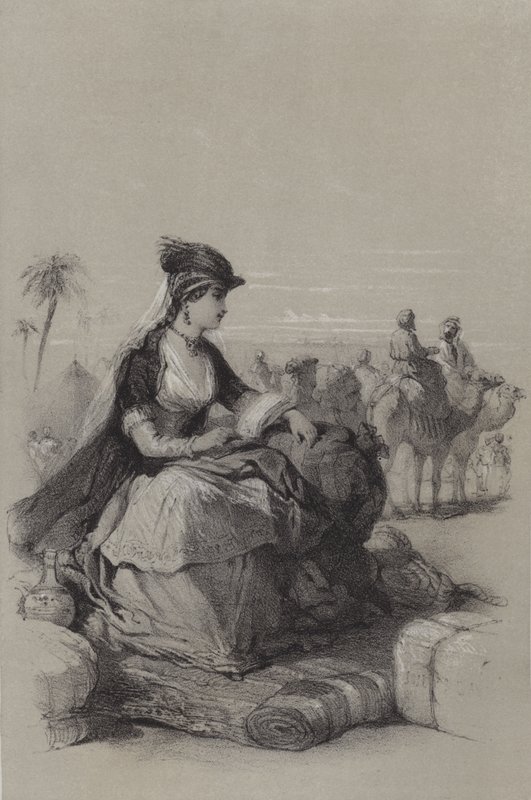 Lady Mary Wortley Montagu 作者 法语学校