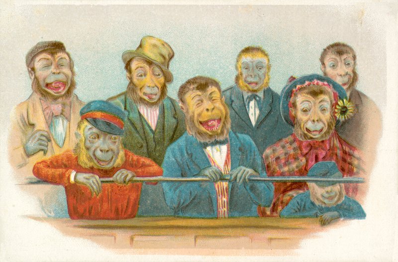 Laughing monkeys (chromolitho) 作者 法语学校