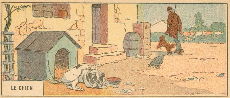 Le Chien》（彩色印刷版） 作者 法语学校