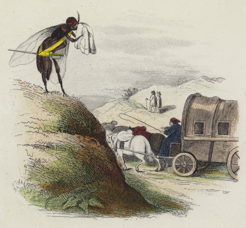 Le Coche Et La Mouche（彩色雕刻）。 作者 法语学校