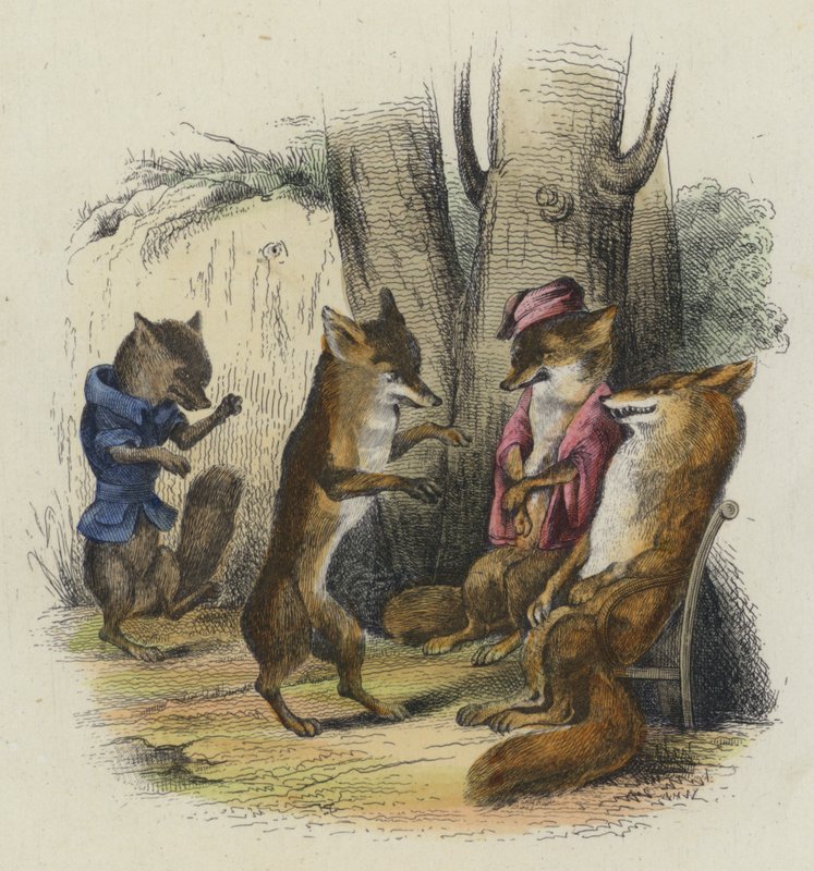 Le Renard Qui A La Queue Coupee（彩色雕刻版）。 作者 法语学校