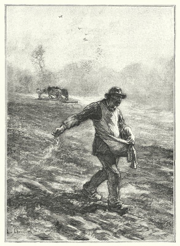 Les Semailles（雕版画 作者 法语学校