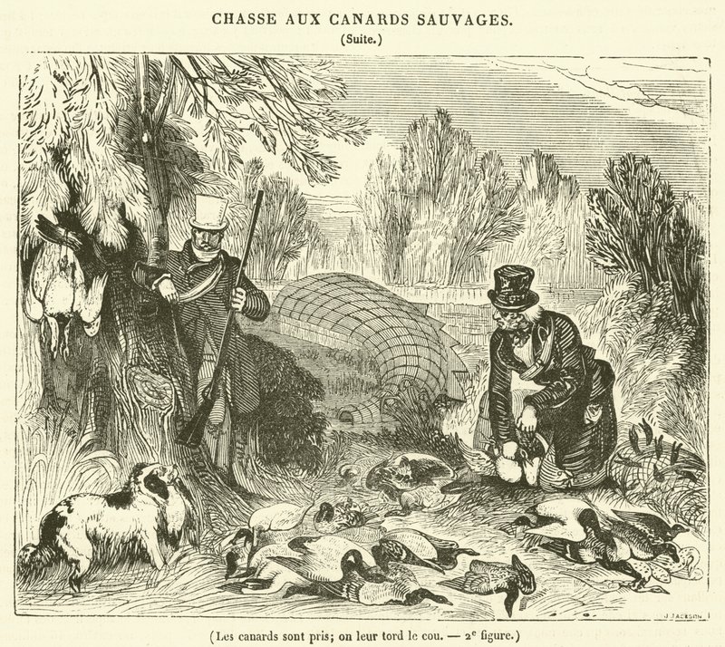 Les canards sont pris, on leur tord le cou (engraving) 作者 法语学校