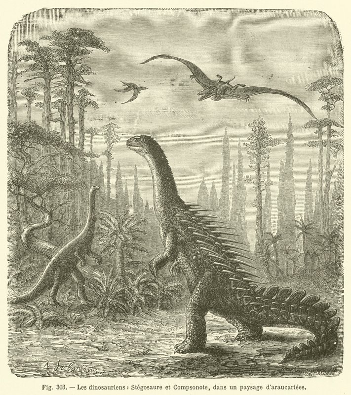Les dinosauriens, Stegosaure et Compsonote, dans un paysage d