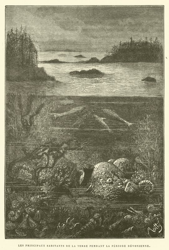 泥盆纪时期地球上的主要居民（雕版画 作者 法语学校