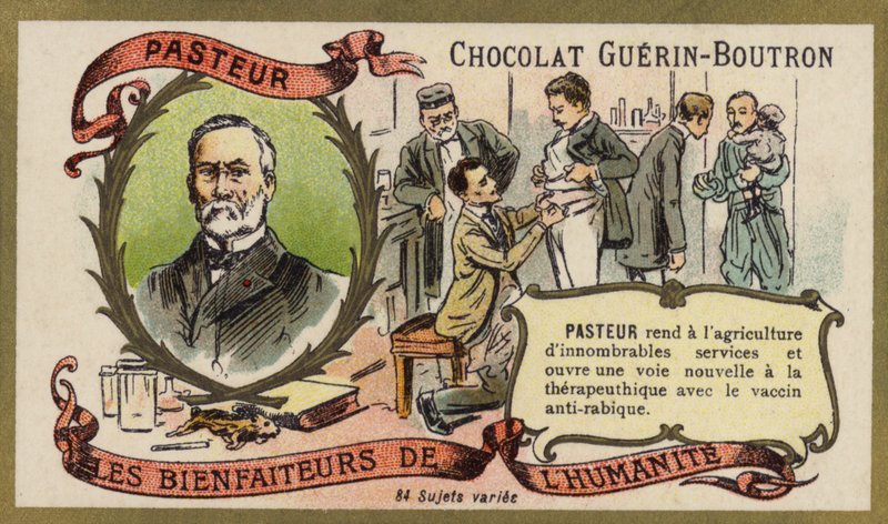 Louis Pasteur, French chemist and microbiologist (chromolitho) 作者 法语学校