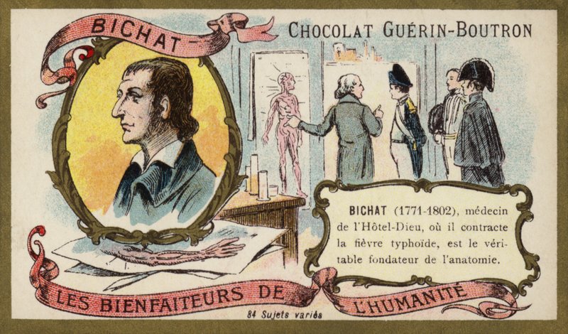Marie Francois Xavier Bichat，法国生理学家和解剖学家（chromolitho）。 作者 法语学校