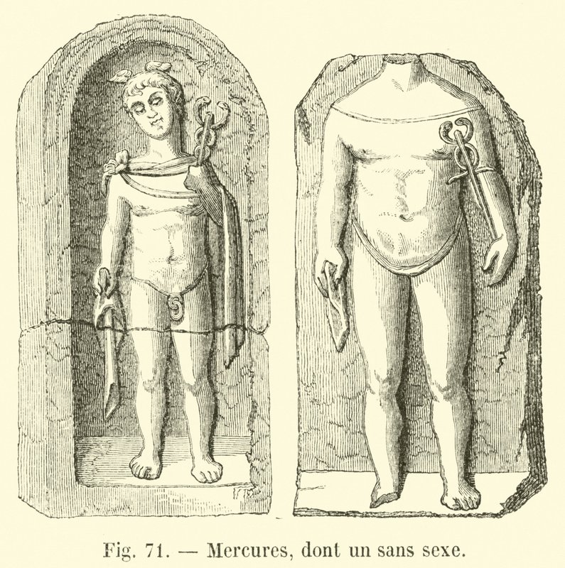 Mercures，包括一个没有性行为的人 作者 法语学校