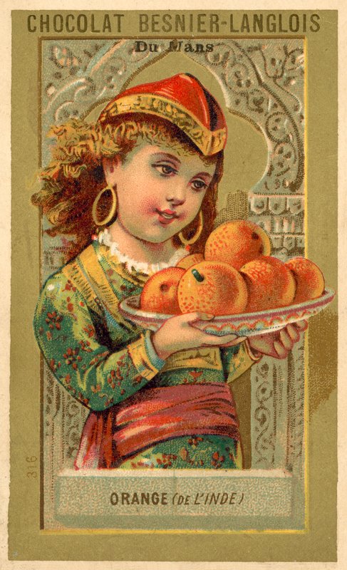 Oranges from India (chromolitho) 作者 法语学校