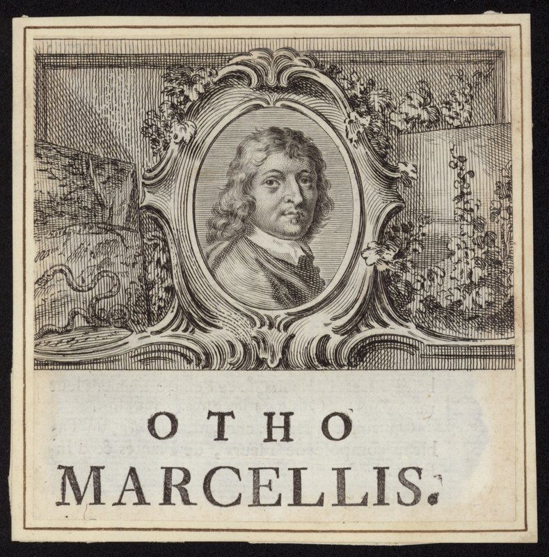 Otto Marseus van Schrieck 作者 法语学校