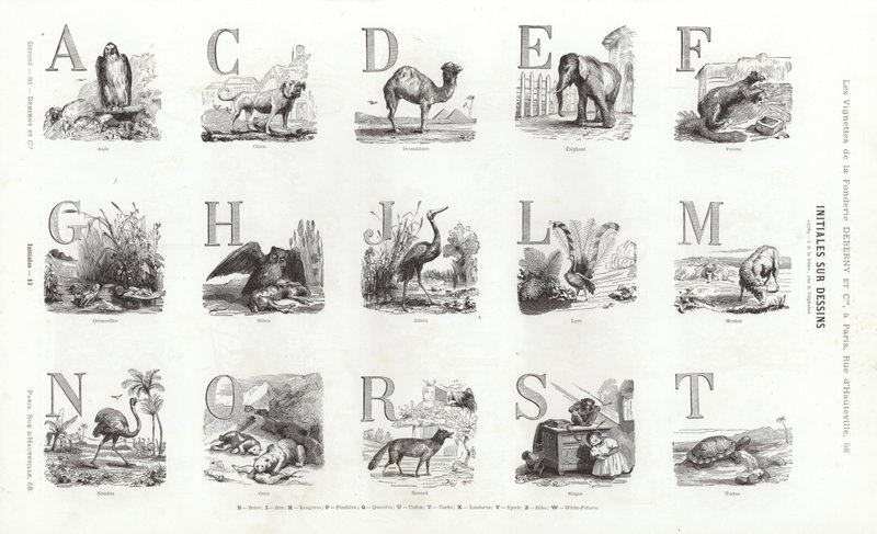 来自 Vignettes Typographiques 的页面（雕刻） 作者 法语学校